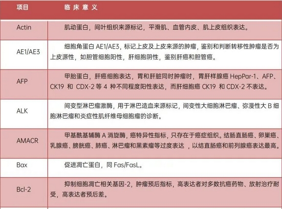 病理报告中，免疫组化到底是什么意思？